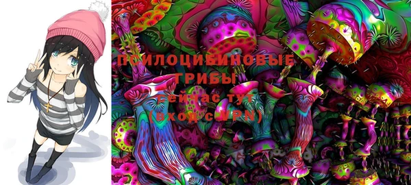 таблы Дмитровск