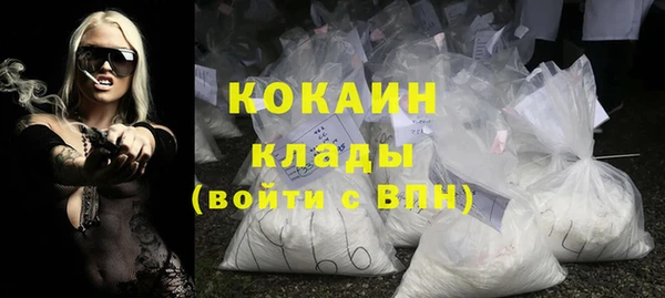 ешки Гусев