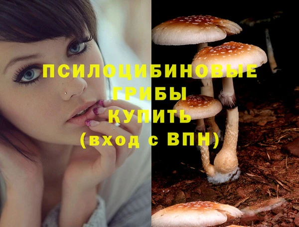 прущая мука Гусиноозёрск