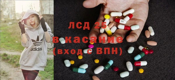 ешки Гусев