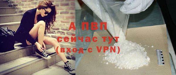 ешки Гусев